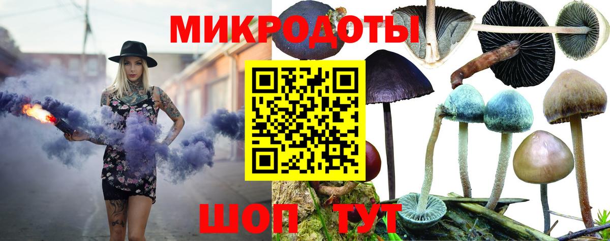 Каменка  Галлюциногенные грибы мухоморы  Вход с VPN 